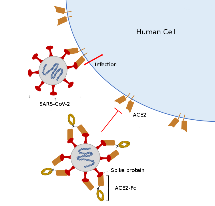 uc davis engineering coronavirus research