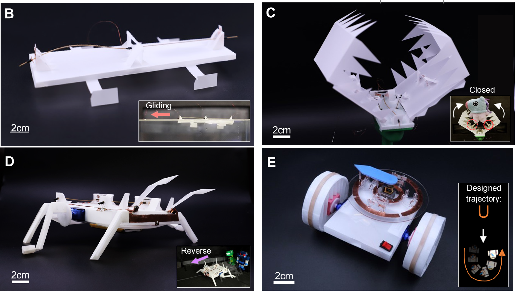 Into the Fold: New Assistant Professor Creates Soft Robots Inspired by ...