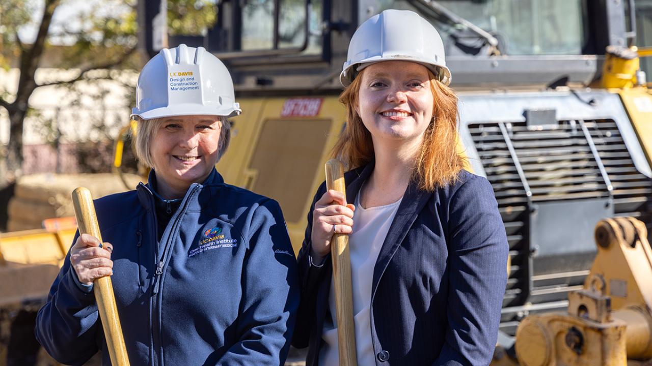 Hawkins and Harvey stand outdoors near construction equipment, wearing hard hats