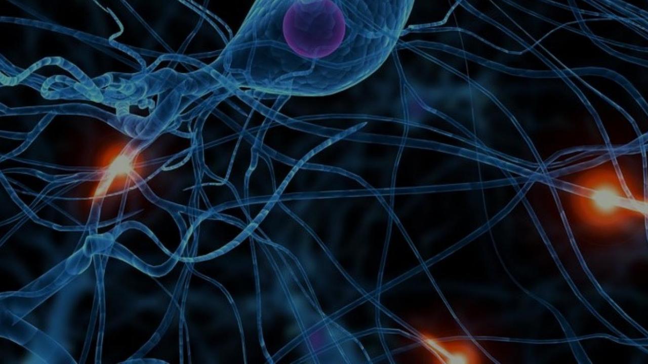 uc davis center neuroengineering mechanical aerospace sanjay joshi