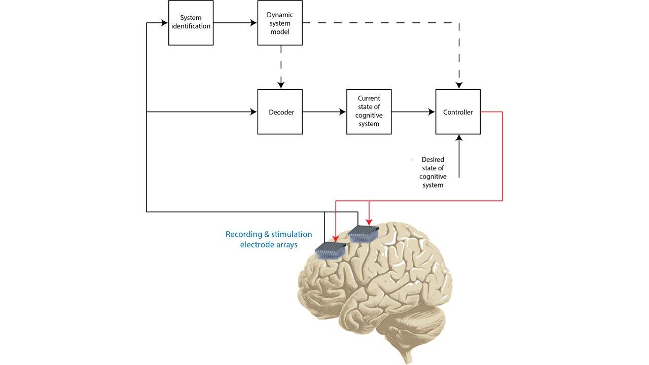 uc davis neuroengineering brain stimulators ditterich kong