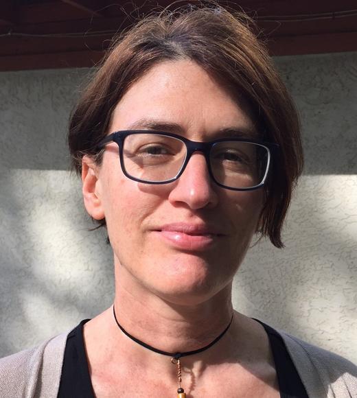 uc davis mechanical aerospace engineering professor valeria la saponara