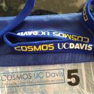 uc davis engineering cosmos statewide faculty executive director